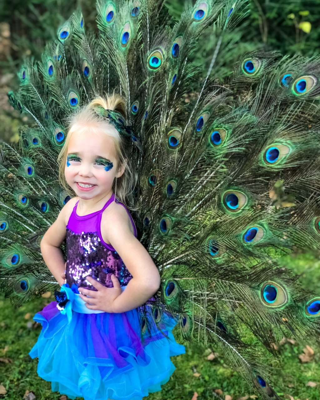 Picture of: Beautiful Homemade Girls Peacock Costume – Proud as a Peacock!