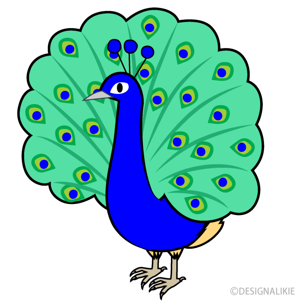 Picture of: Cute Peacock Clip Art Free PNG Image｜Illustoon
