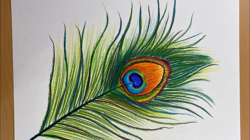 Picture of: How to draw Beautiful Peacock feathers with Color pencils
