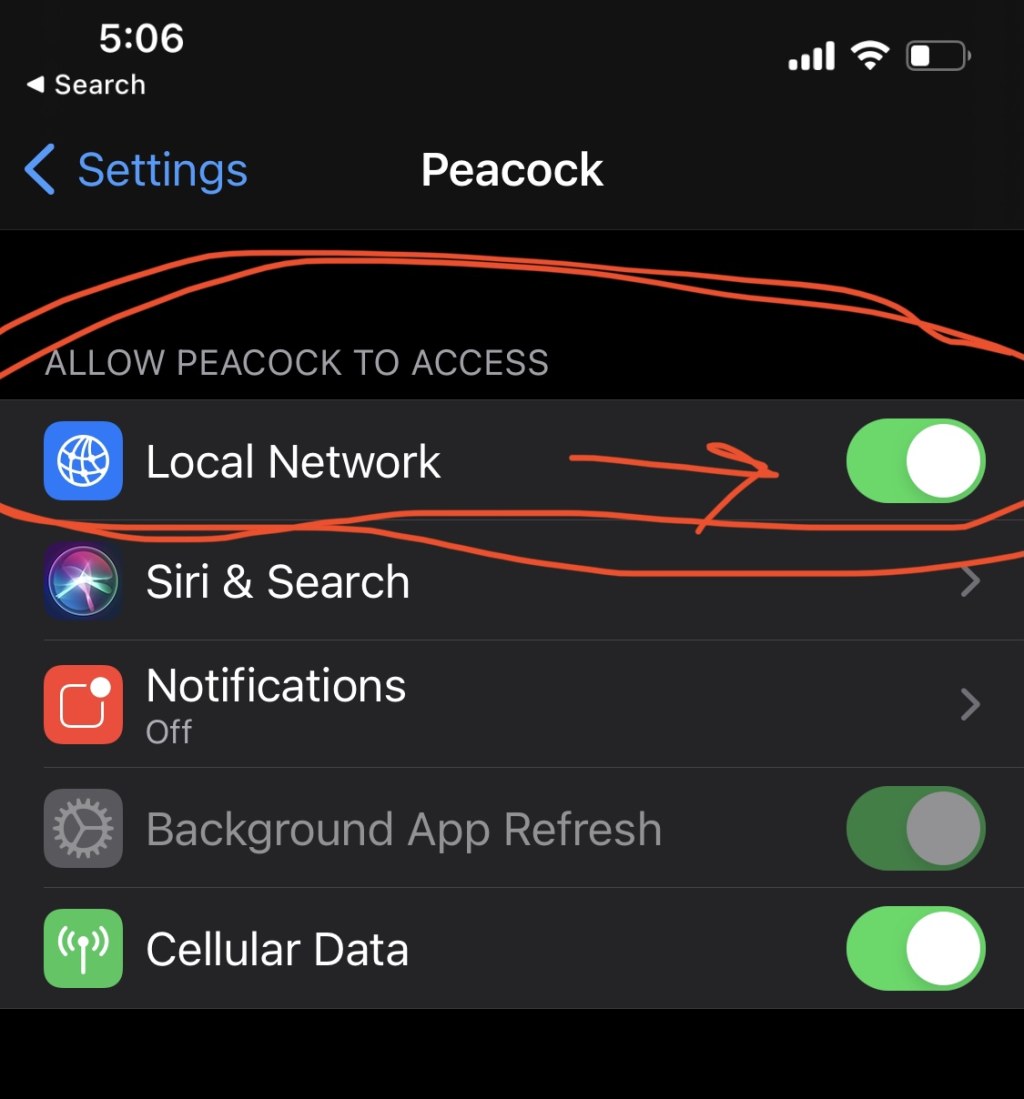 Picture of: How to use Peacock App to Chromecast – Problem fixed! – Diana
