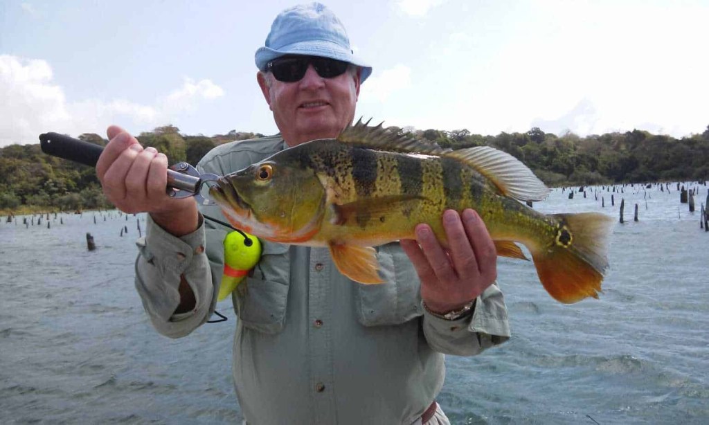 Picture of: Peacock Bass Fishing in Panama – Central America Fishing