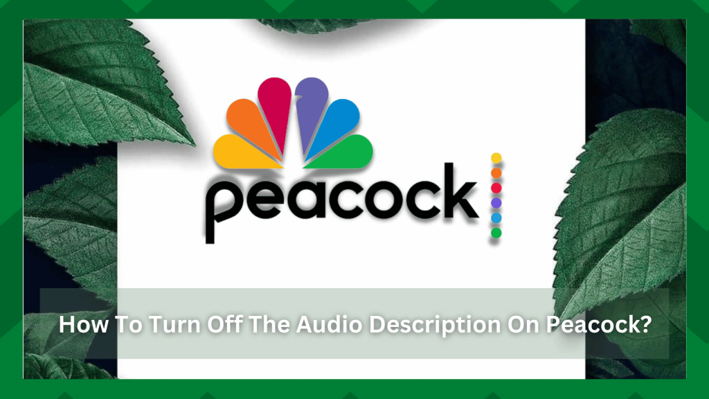 Picture of: Ways To Turn Off The Audio Description On Peacock – Internet